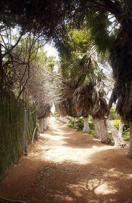 Western Sahara