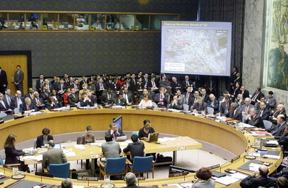 Security Council Hears U.S. Briefing on Evidence of Iraq's Arms Programme