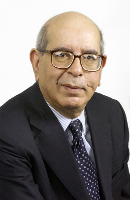 Portrait of Special Adviser of Secretary-General for Iraq