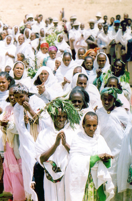 United Nations Mission in Eritrea and Ethiopia (UNMEE)