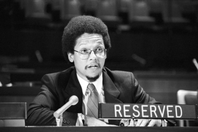 Decolonization Committee Hears Petitioners on Questions of Three Territories