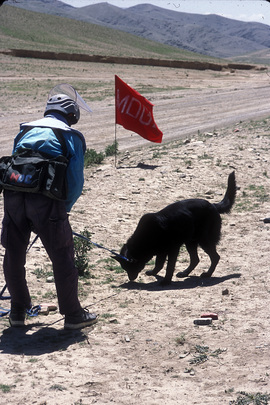 Landmine Clearing Efforts of the UN Mine Action Centre