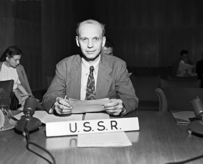 Economic and Social Council of the United Nations