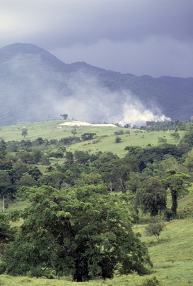 The Human Environment - New Challenge for the United Nations