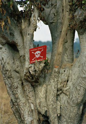 United Nations Angola Verification Mission Helps Support Demining Process in Angola