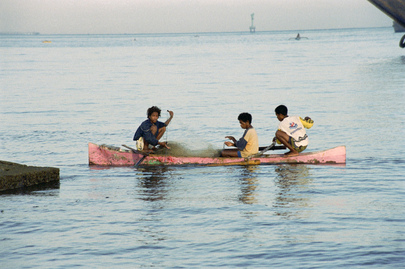 Views of East Timor During the Transition to Independence
