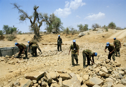United Nations Mission in Eritrea and Ethiopia (UNMEE)