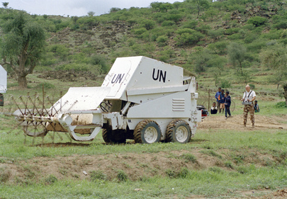 United Nations Mission in Eritrea and Ethiopia (UNMEE)
