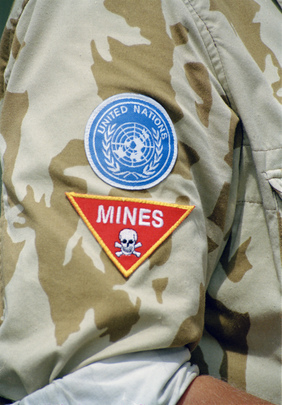 United Nations Mission in Eritrea and Ethiopia (UNMEE)