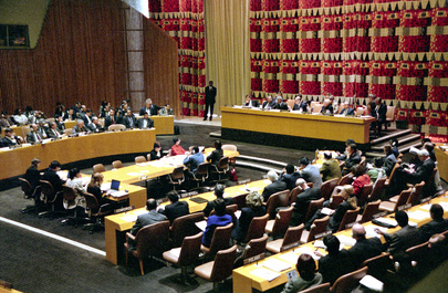 Economic and Social Council Holds Resumed Organizational Session