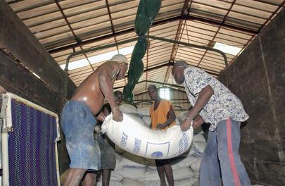 United Nations Mission in Côte d'Ivoire (UNOCI)