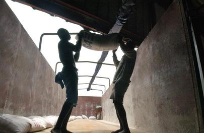 United Nations Mission in Côte d'Ivoire (ONUCI)