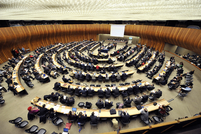 Human Rights Council Tenth Special Session Participants