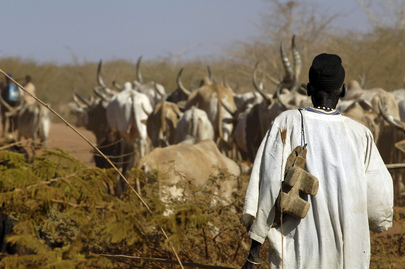 Dinka Cattle Camp Moves to Abyei Region