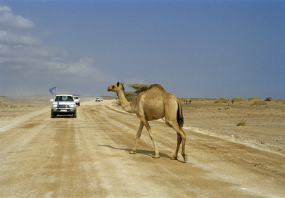 United Nations Mission in Eritrea and Ethiopia (UNMEE)