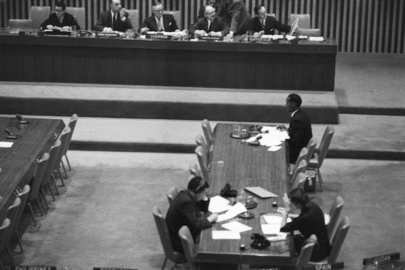 Fourth Committee Hears Petitioner on Conditions in Ruanda-Urundi