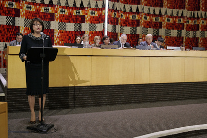 Representative of Kazakhstan Introduces Draft Resolution on Semipalatinsk Region