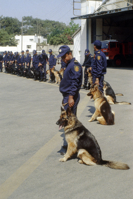 United Nations Drug Control Programme (UNDCP) 