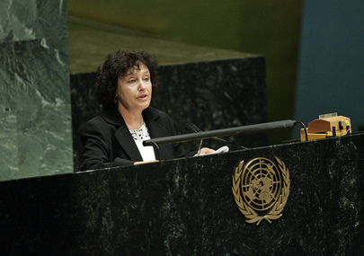 Official of Israel Addresses General Assembly on Financial Crisis