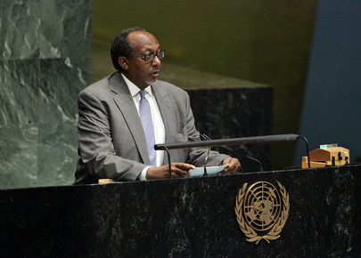 Representative of Djibouti  Addresses General Assembly on Financial Crisis
