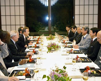 Secretary-General Attends Working Dinner
