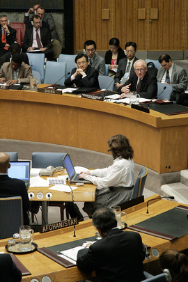 UNAMA Head Addresses Security Council
