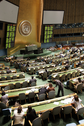 General Assembly Considers Fifth Committee Reports