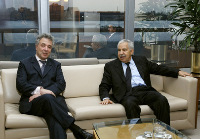 General Assembly President Meets Security Council President for November