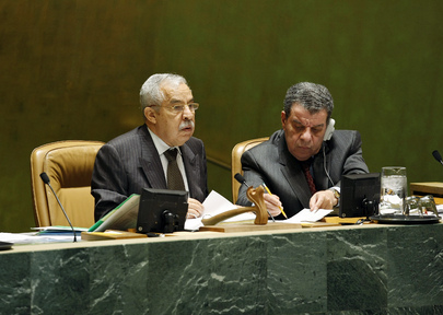 General Assembly Considers Goldstone Report