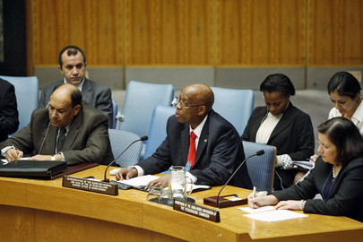 UN Representative in Guinea-Bissau Briefs Security Council