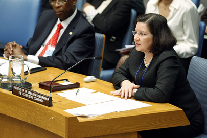 Security Council Meets on Guinea-Bissau