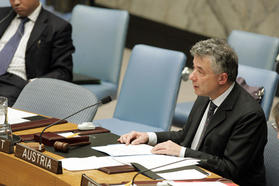 Security Council President Addresses Meeting on Guinea-Bissau