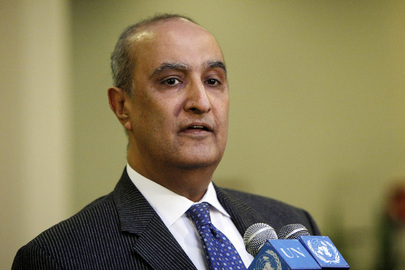 Representative of Egypt Briefs on Assembly Backing of Goldstone Report