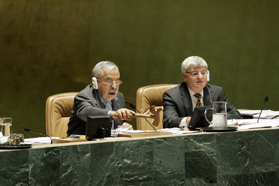 General Assembly Considers Support for New or Restored Democracies