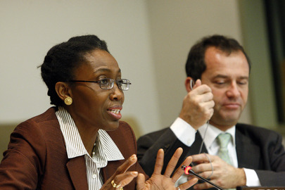 DPI/ NGO Climate Change Briefing