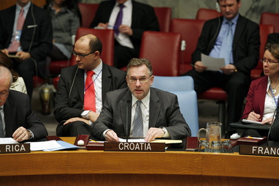 Chairs of Counter-Terrorism Committees Brief Security Council