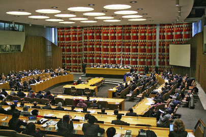2009 Parliamentary Hearing on Global Economic Crisis