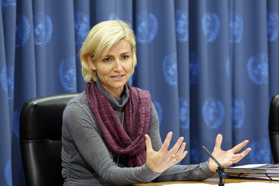 Danish Minister for Development Cooperation Briefs on MDGs