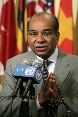 Permanent Representative of Libya Briefs on Situation in Middle East
