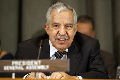 Palestinian Rights Committee Meets