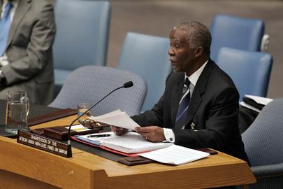 Chair of AU Darfur Panel Addresses Security Council