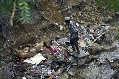 Food Shortages Persist in Port-au-Prince, Haiti
