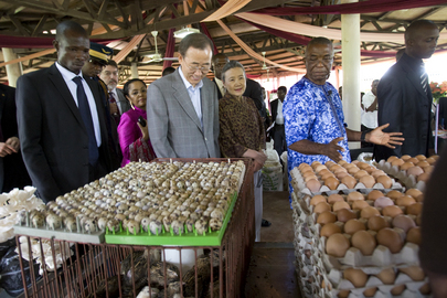 Secretary-General Visits Sustainable Agriculture Project in Benin