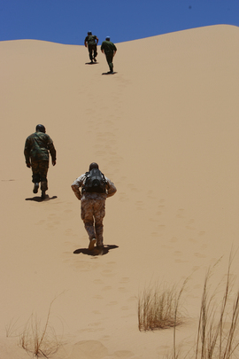 MINURSO Team Monitors Ceasefire in Western Sahara 