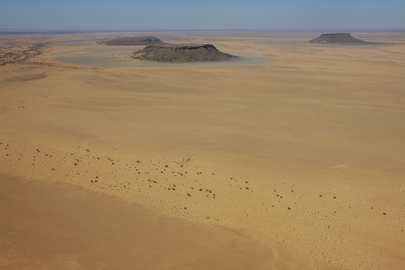 Western Sahara Landscape