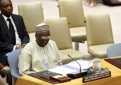 UNAMID Special Representative Briefs Security Council