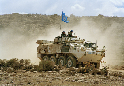 United Nations Mission in Eritrea and Ethiopia  (UNMEE)