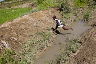 Contaminated River Source of Cholera in Haiti