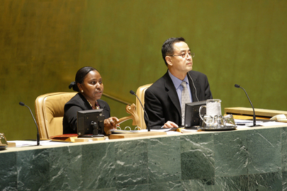 General Assembly Meets on the International Criminal Court