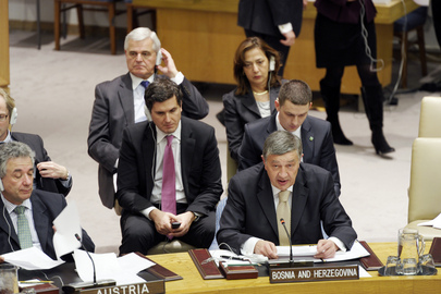 Council Discusses Situation in Bosnia and Herzegovina